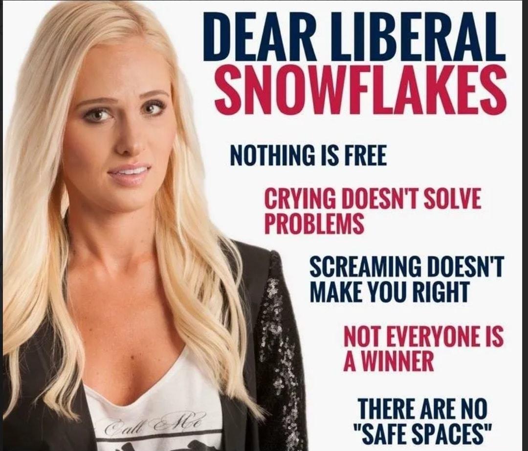 DEARLIBERAL s NOTHING IS FREE ROBLEMS A SCREAMING DOESNT A MAKE YOU RIGHT THERE ARE NO SAFE SPACES