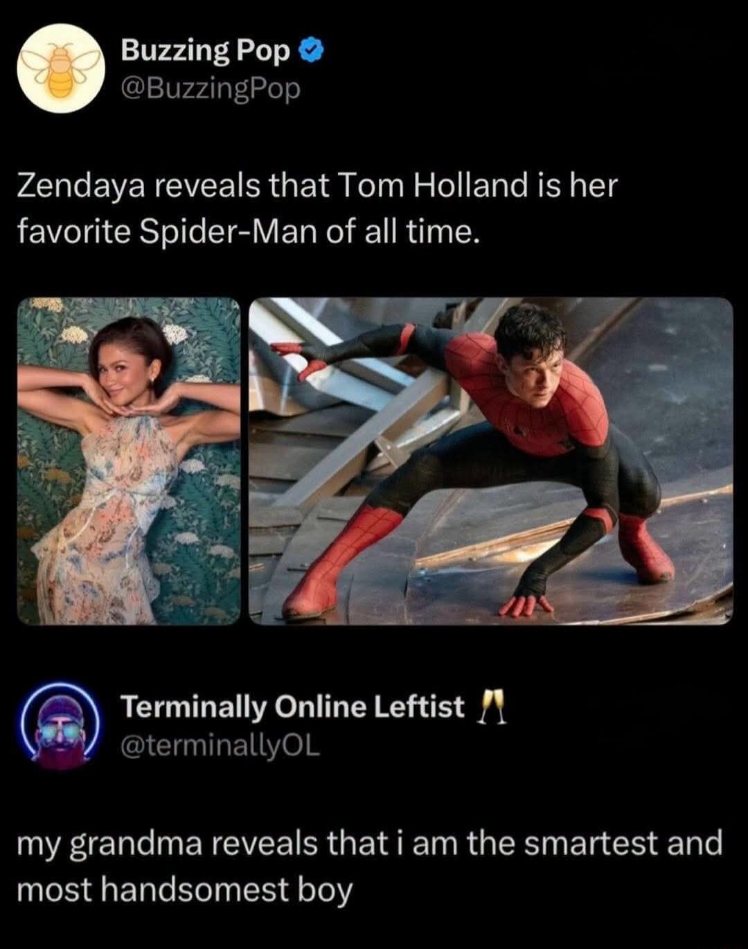 Buzzing Pop Zendaya reveals that Tom Holland is her favorite Spider-Man of all time. Terminally Online Leftist my grandma reveals that I am the smartest and most handsomest boy