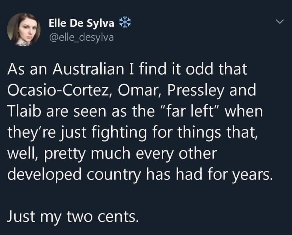 Elle De Sylva 3 v elle_desylva SRRV ET R R il e Nilele e RisE1 Ol ea M OIn EIMH IS LA o Tlaib are seen as the far left when WEYACE VS RilelslilaleReMiallale R E well pretty much every other developed country has had for years Just my two cents