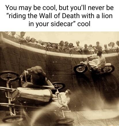 You may be cool but youll never be riding the Wall of Death with a lion in your sidecar cool