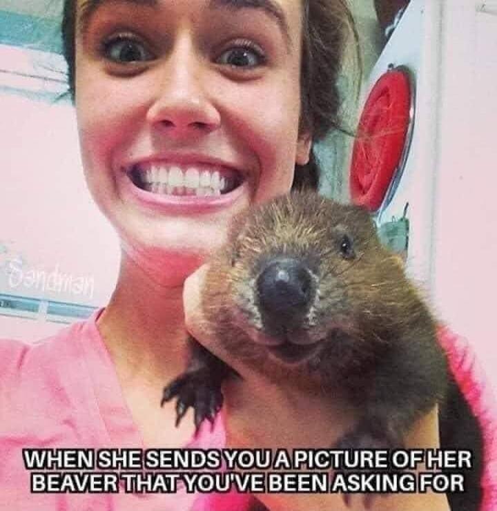 WHEN SHE SENDS YOU A PICTURE OF HER BEAVER THAT YOU'VE BEEN ASKING FOR