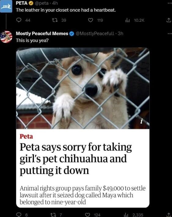 PETA The leather in your closet once had a heartbeat A Mostly Peaceful Memes P Peta says sorry for taking girls pet chihuahua and putting it down