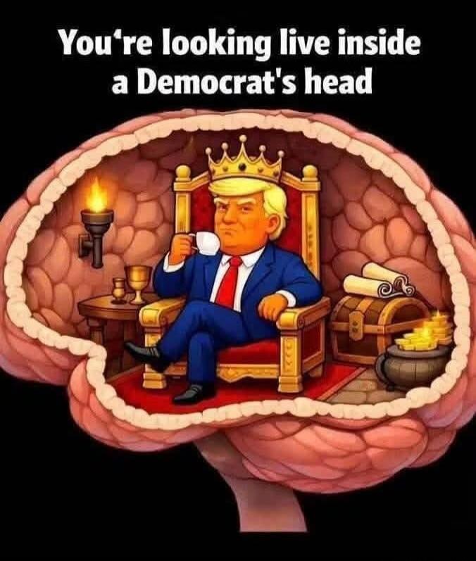 You're looking live inside a Democrat's head