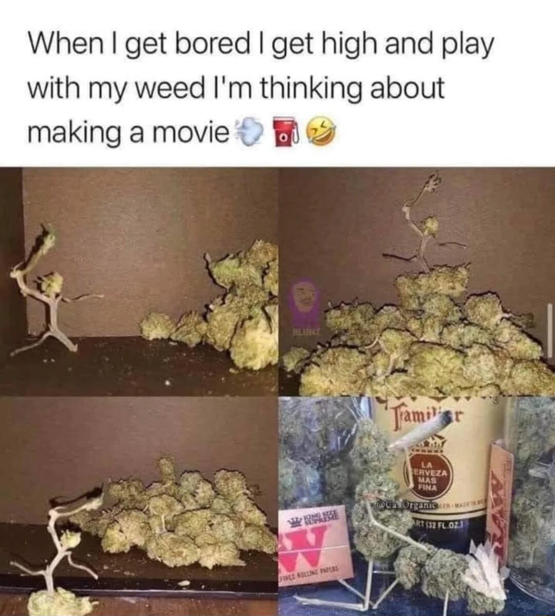 When get bored get high and play with my weed Im thinking about making a movie