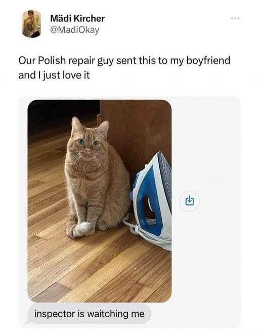 Madi Kircher MadiOkay Our Polish repair guy sent this to my boyfriend and just love it inspector is waitching me