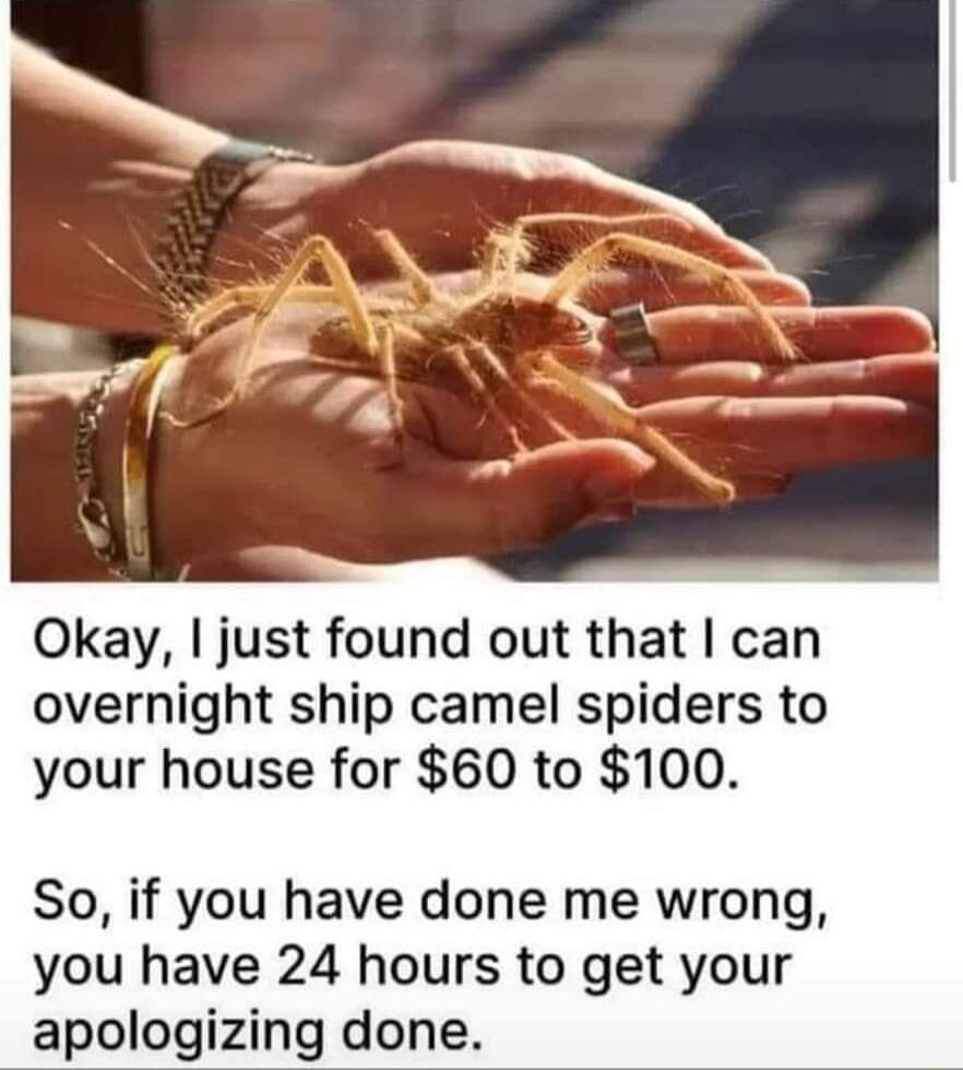 Okay just found out that can overnight ship camel spiders to your house for 60 to 100 So if you have done me wrong you have 24 hours to get your apologizing done