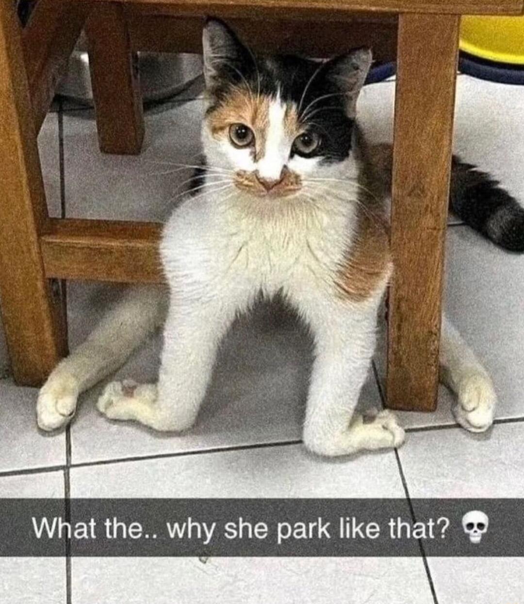 What the why she park like that