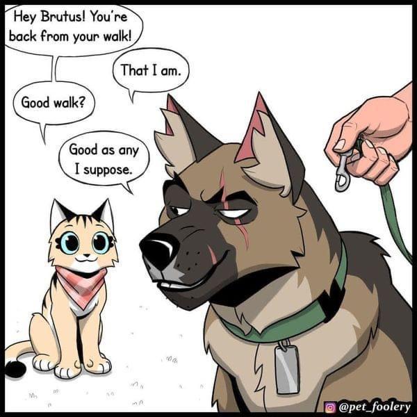 Hey Brutus Youre back from your walk