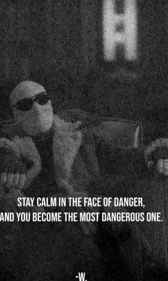 STAY CALM IN THE FACE OF DANGER, AND YOU BECOME THE MOST DANGEROUS ONE. 
-W.