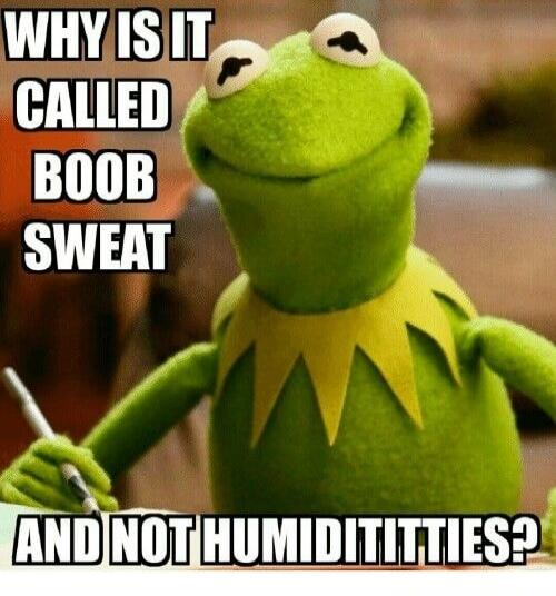 WHY IS IT CALLED BOOB SWEAT AND NOT HUMIDITTIES?