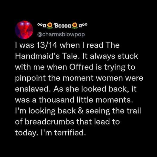 oo 3 Beooa no 5 charmsblowpop was 1314 when read The Handmaids Tale It always stuck with me when Offred is trying to pinpoint the moment women were STa1S EVZYe MVAXCR o T H oTo Te Mo Yol O 14 was a thousand little moments Im looking back seeing the trail o1 R TETe V p R pEY T R o today Im terrified