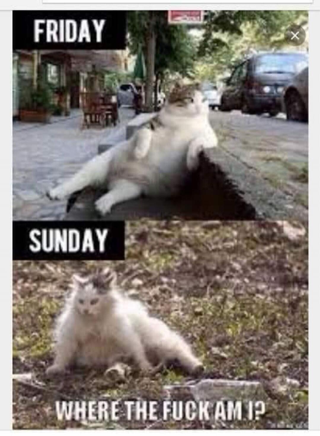 FRIDAY SUNDAY WHERE THE FUCK AM I?