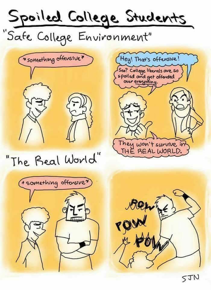 Spoiled Collegie Studevds Sake College Envivonment The Rreal World STN