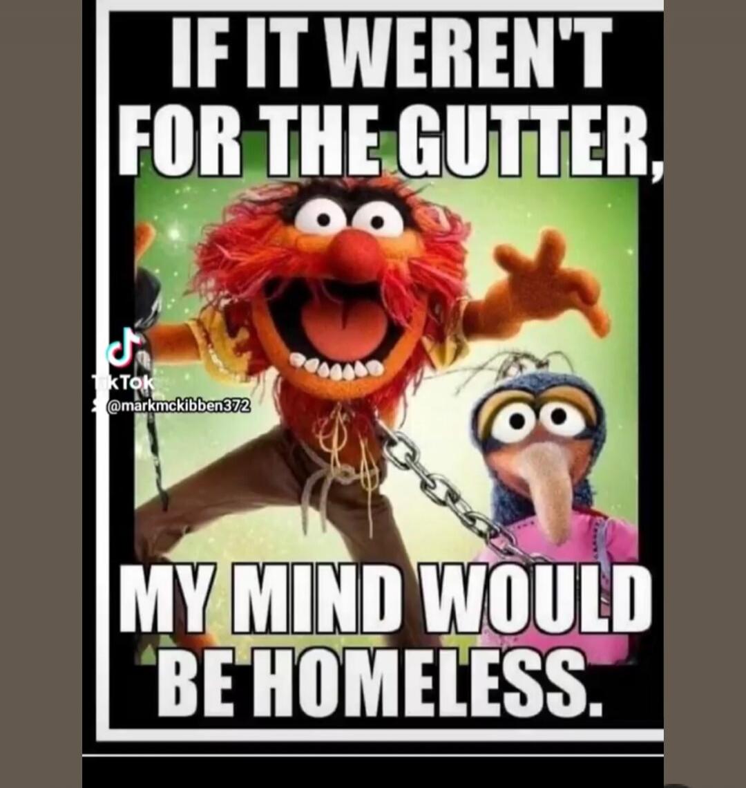 IF IT WEREN'T FOR THE GUTTER, MY MIND WOULD BE HOMELESS.