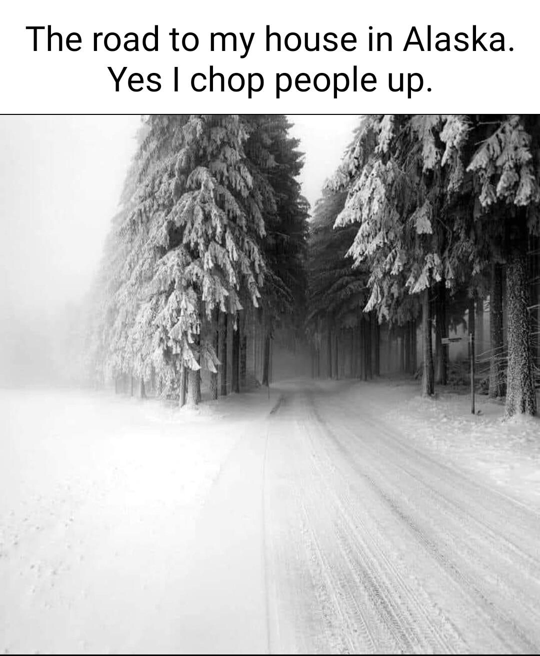 The road to my house in Alaska Yes chop people up