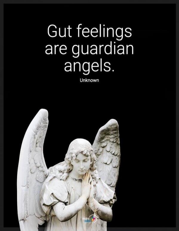 Gut feelings are guardian angels. Unknown