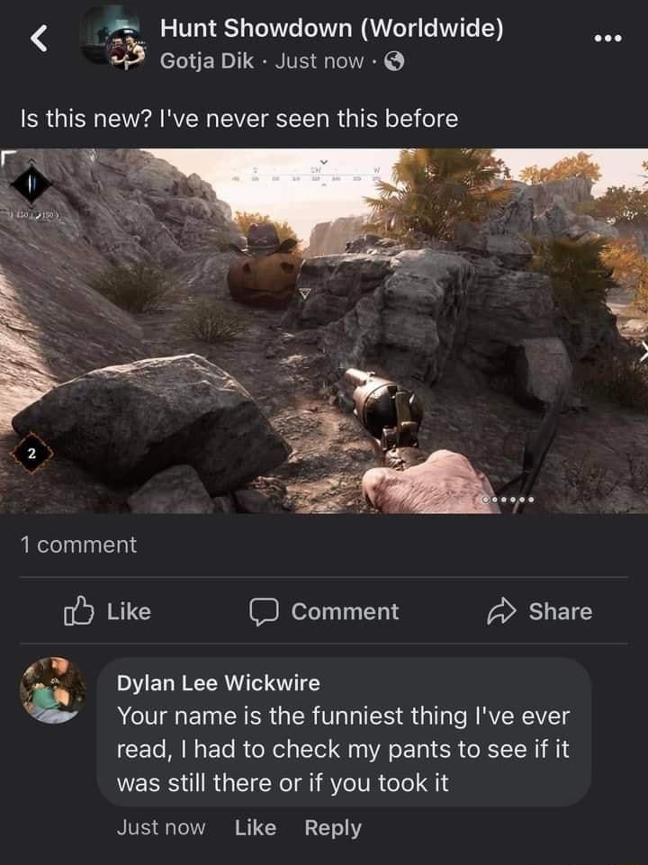 Hunt Showdown Worldwide o Gotja Dik Just now Is this new Ive never seen this before 1 comment o Like D comment Share 2 doviantes Wickwire ACTECIERGER VI EE QU CRRERETET read had to check my pants to see if it was still there or if you took it Justnow Like Reply