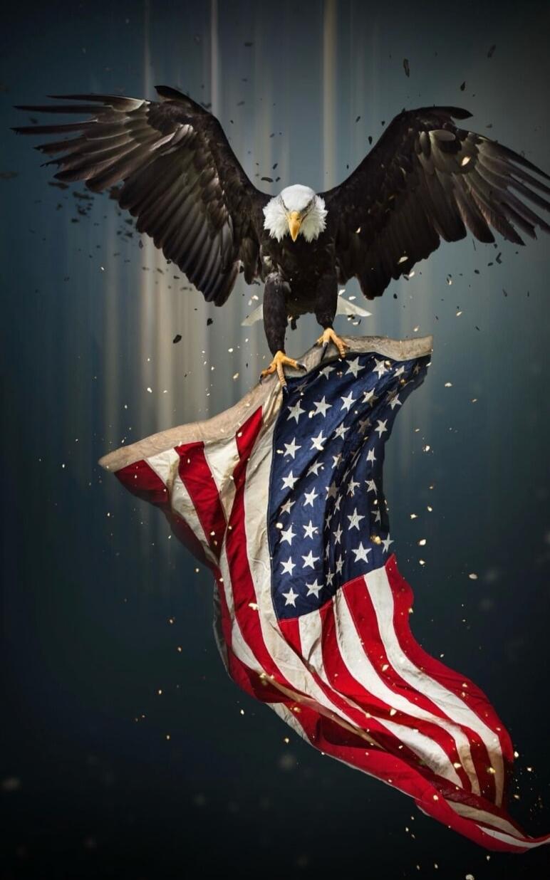 Bald eagle perched on a tattered American flag.