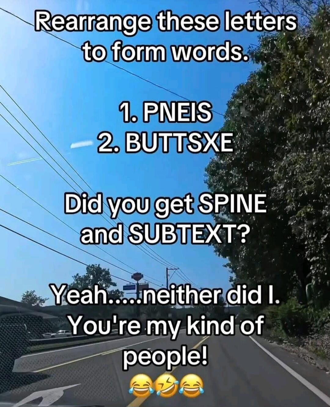 Rearrange these letters to form words. 1. PNEIS 2. BUTTSXE Did you get SPINE and SUBTEXT? Yeah....neither did I. You're my kind of people! 😂 😂 😂