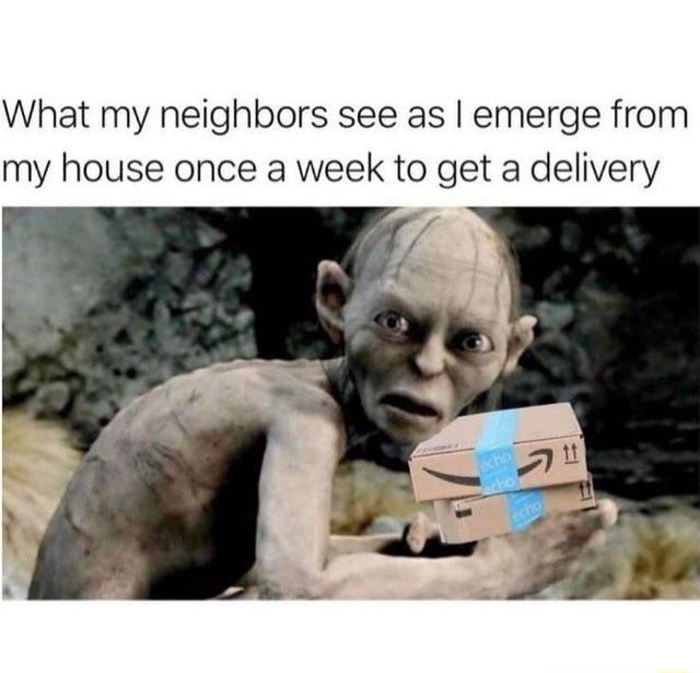 What my neighbors see as emerge from my house once a week to get a delivery