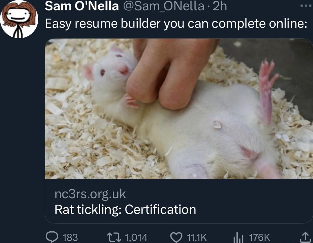 Sam ONella Sam ONella 2h Easy resume builder you can complete online v nc3rsorguk Rat tickling Certification RTX 111014 O 11K 11 176K K