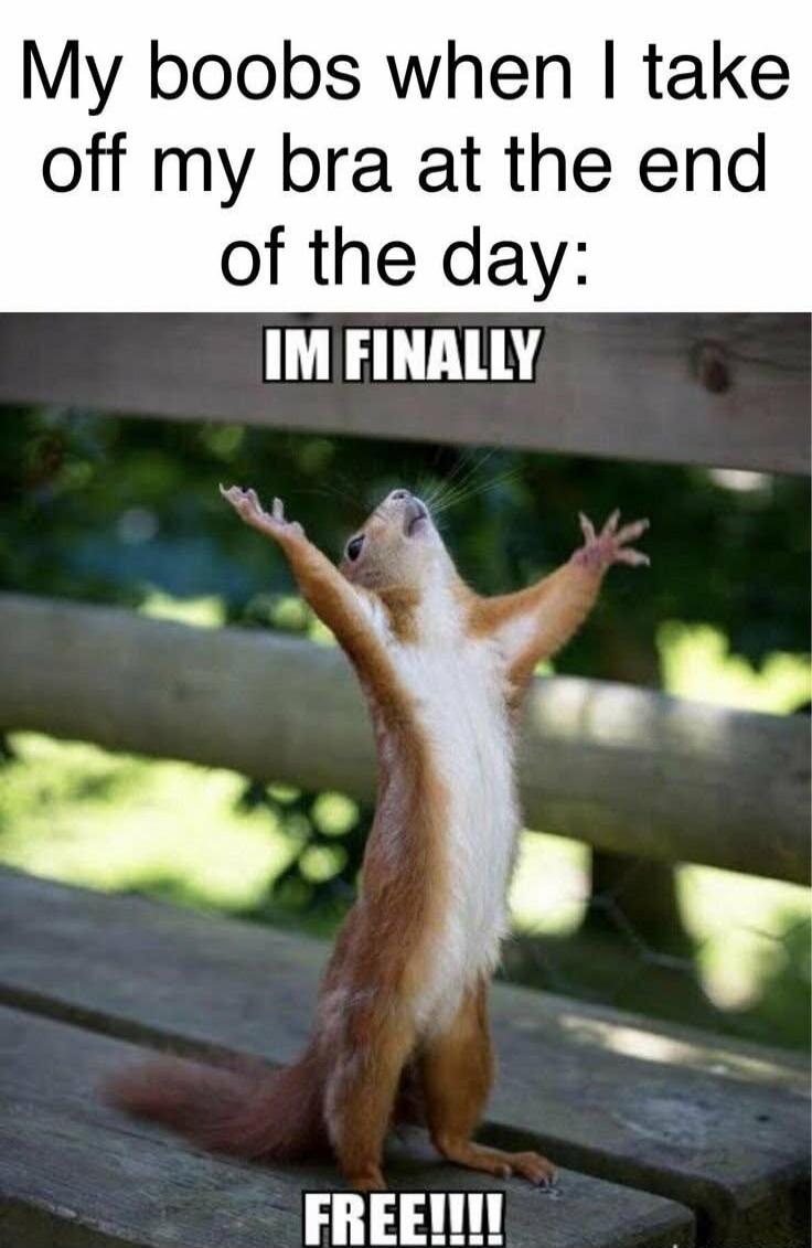 My boobs when I take off my bra at the end of the day: IM FINALLY FREE!!!!