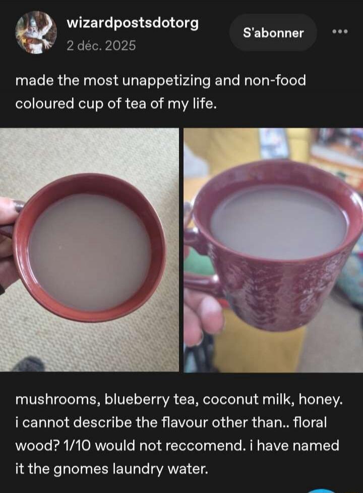 made the most unappetizing and non-food coloured cup of tea of my life. mushrooms, blueberry tea, coconut milk, honey. I cannot describe the flavour other than.. floral wood? 1/10 would not recommend. I have named it the gnomes laundry water.