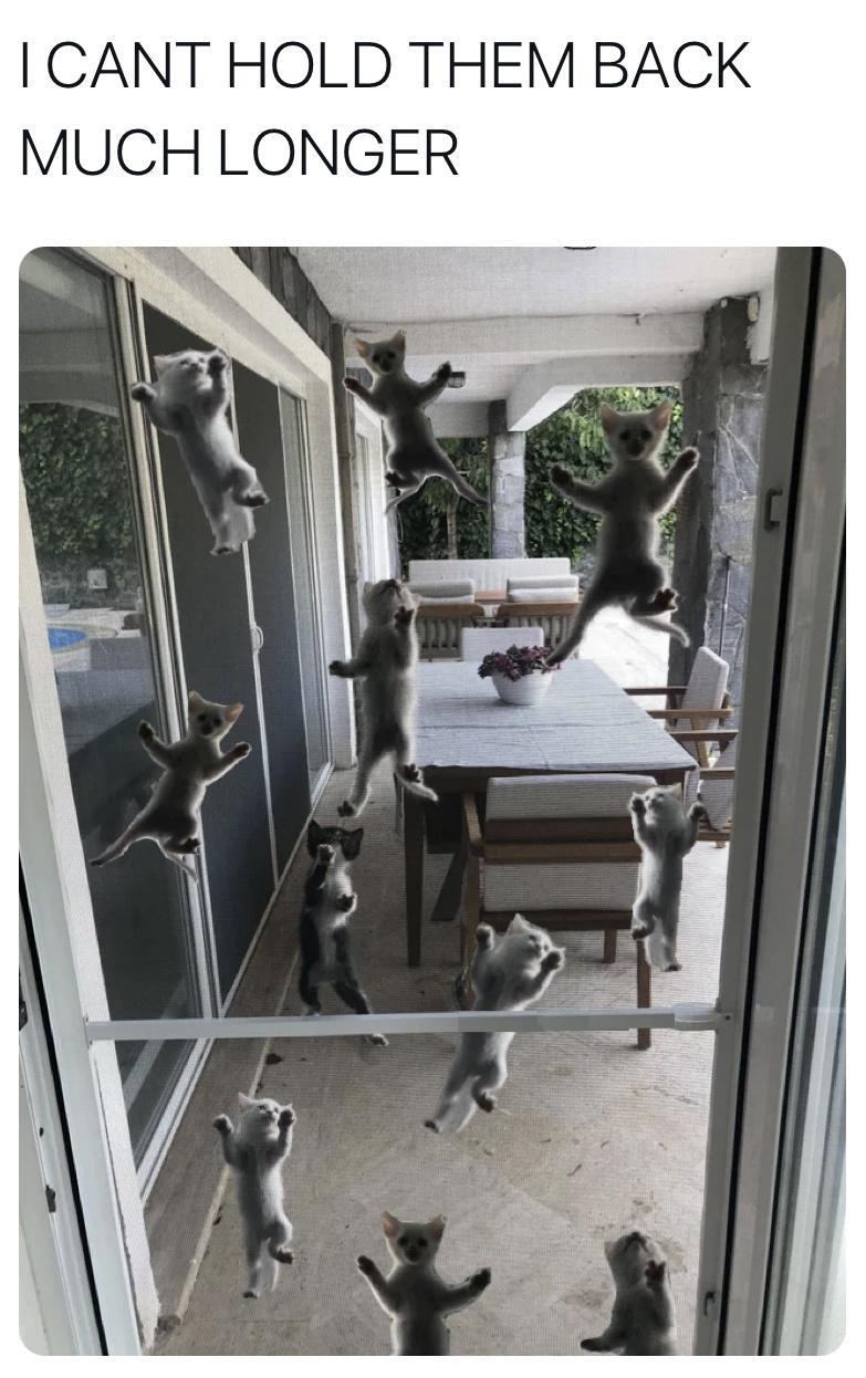 I CANT HOLD THEM BACK MUCH LONGER