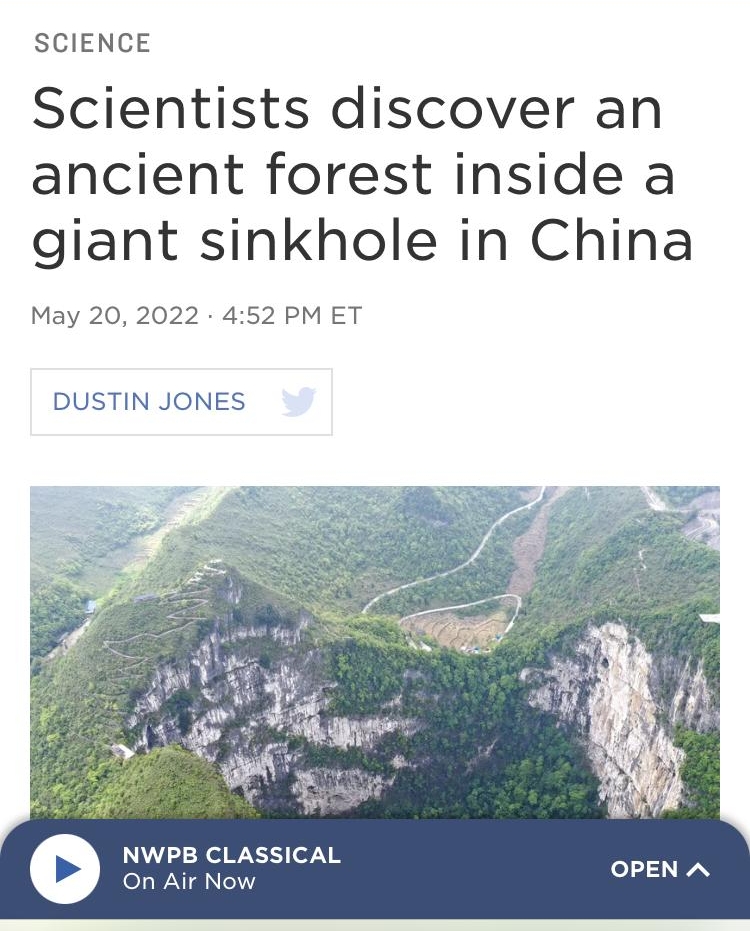 Verizon LTE 919 PM a d e DONATE SCIENCE Scientists discover an ancient forest inside a giant sinkhole in China May 20 2022 452 PM ET DUSTIN JONES NWPB CLASSICAL oL NI el nprorg m