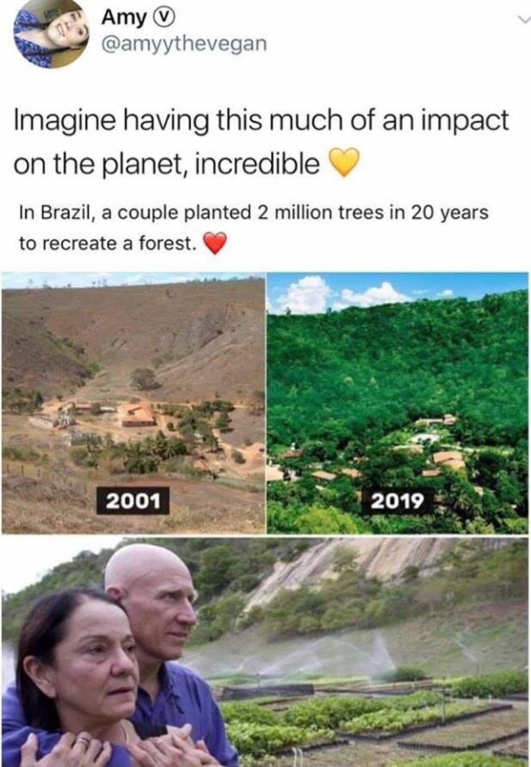 Amy amyythevegan Imagine having this much of an impact on the planet incredible In Brazil a couple planted 2 million trees in 20 years to recreate a forest