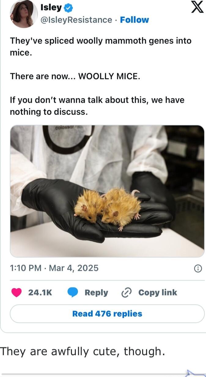 Isley X IsleyResistance Follow Theyve spliced woolly mammoth genes into mice There are now WOOLLY MICE If you dont wanna talk about this we have nothing to discuss O 110 PM Mar 4 2025 241K Reply 2 Copylink Read 476 replies They are awfully cute though