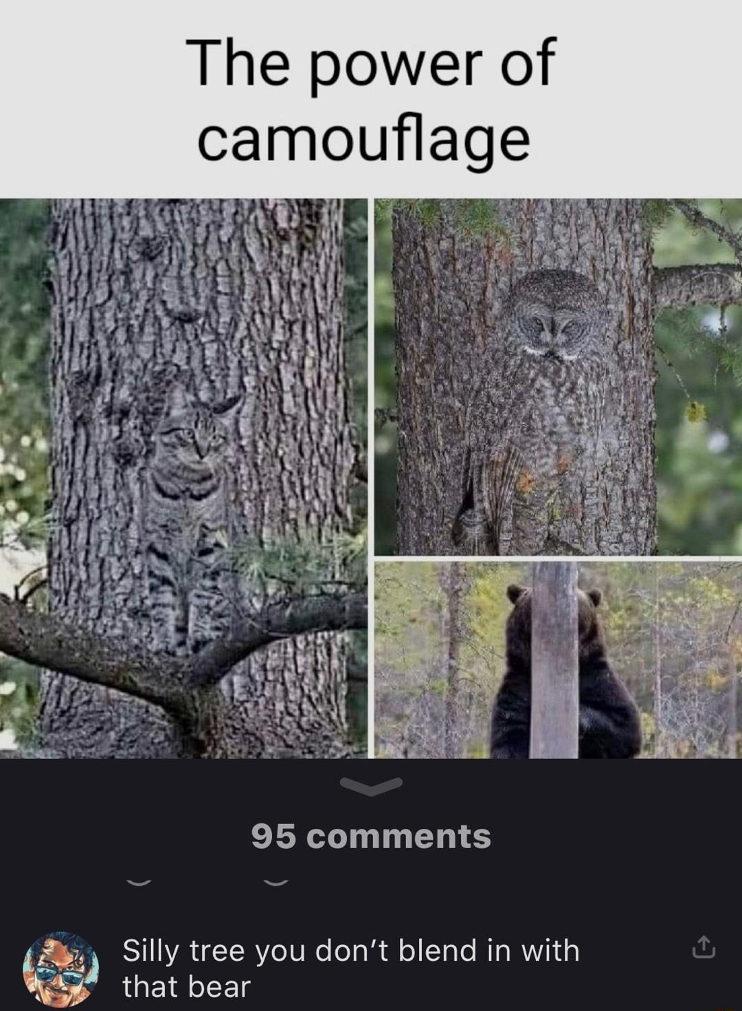 The power of camouflage 95 comments 7y Silly tree you dont blend in with AGEE LR