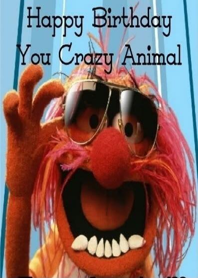 Happy Birthday You Crazy Animal