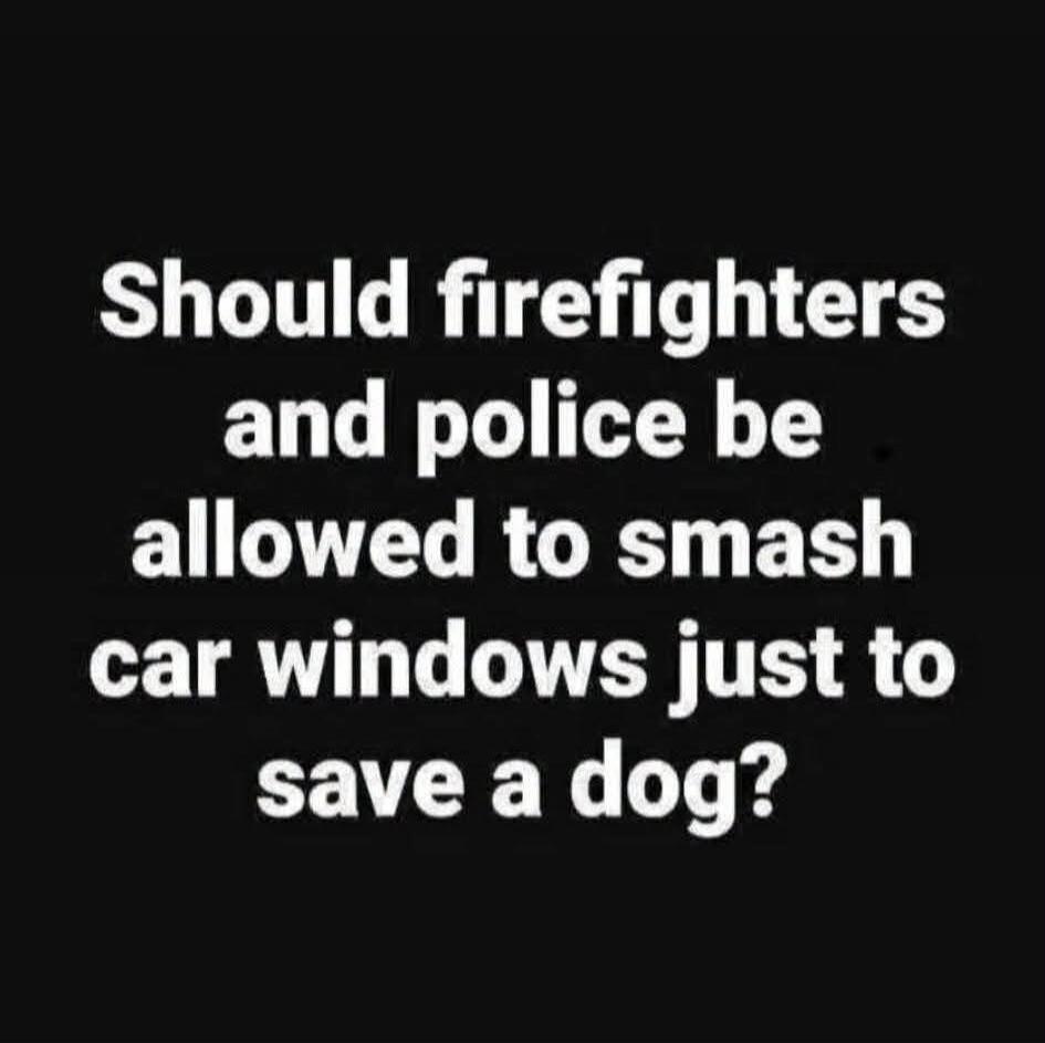 Should firefighters and police be allowed to smash car windows just to save a dog?