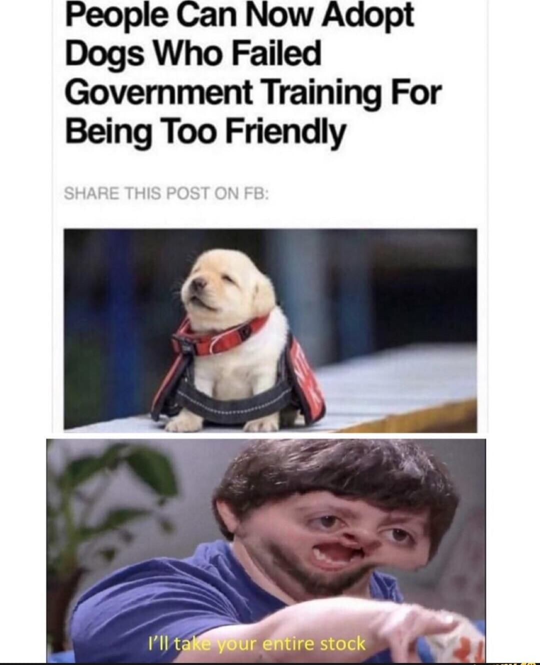 People Can Now Adopt Dogs Who Failed Government Training For Being Too Friendly