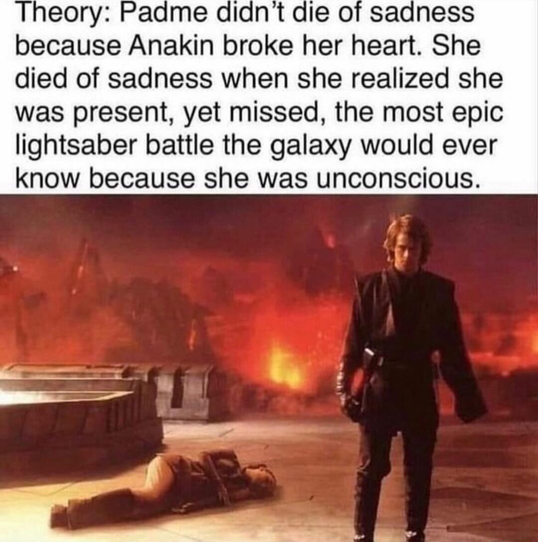 heory Padme didnt die of sadness because Anakin broke her heart She died of sadness when she realized she was present yet missed the most epic lightsaber battle the galaxy would ever know because she was unconscious