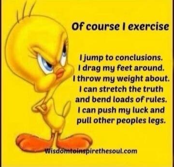 Of course I exercise I jump to conclusions. I drag my feet around. I throw my weight about. I can stretch the truth and bend loads of rules. I can push my luck and pull other peoples legs. Wisdomtoinspirethesoul.com