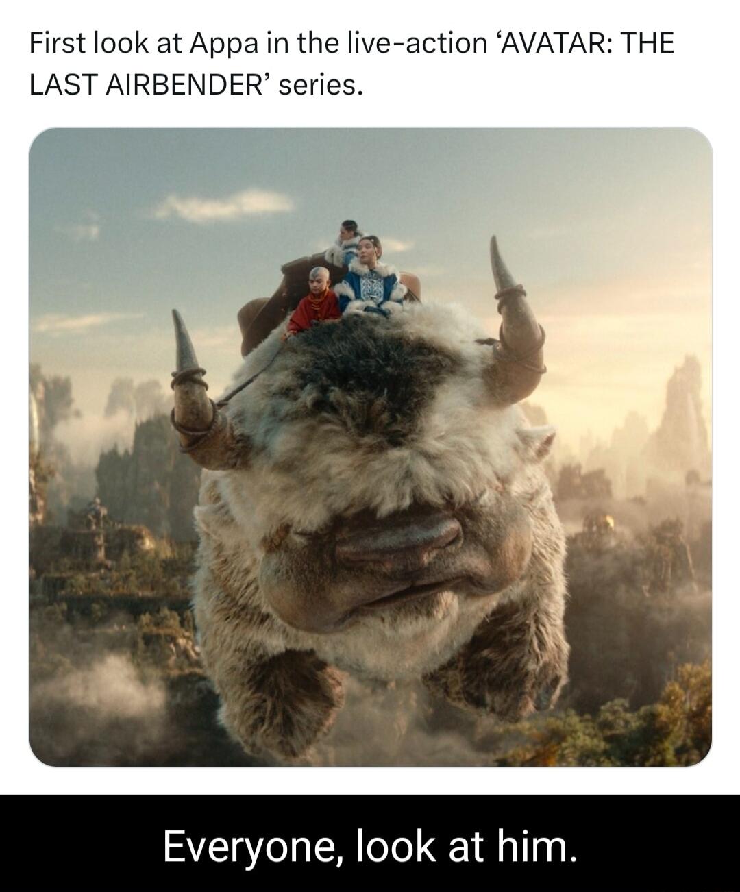 First look at Appa in the live action AVATAR THE LAST AIRBENDER series Everyone look at him