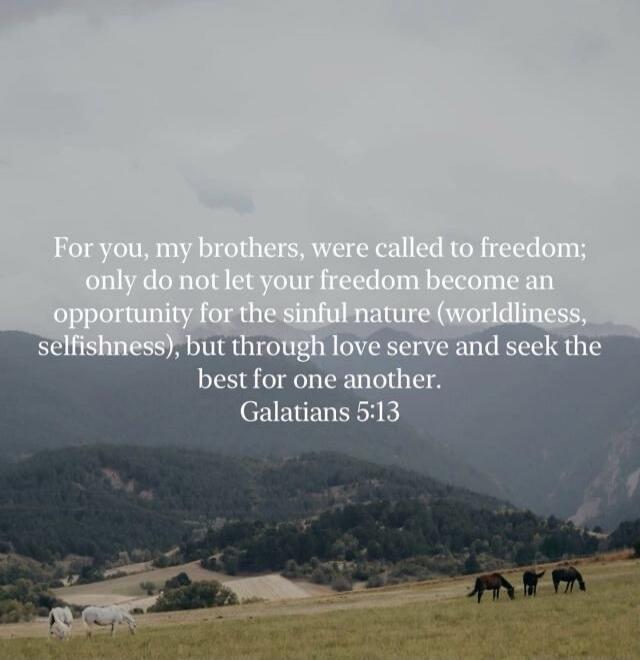 For you, my brothers, were called to freedom; only do not let your freedom become an opportunity for the sinful nature (worldliness, selfishness), but through love serve and seek the best for one another. Galatians 5:13