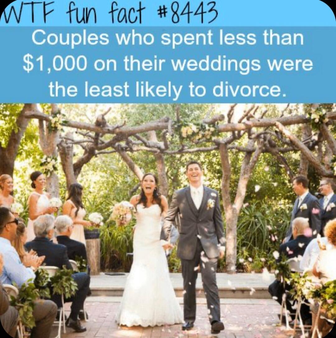 WTF fun foct 8445 2