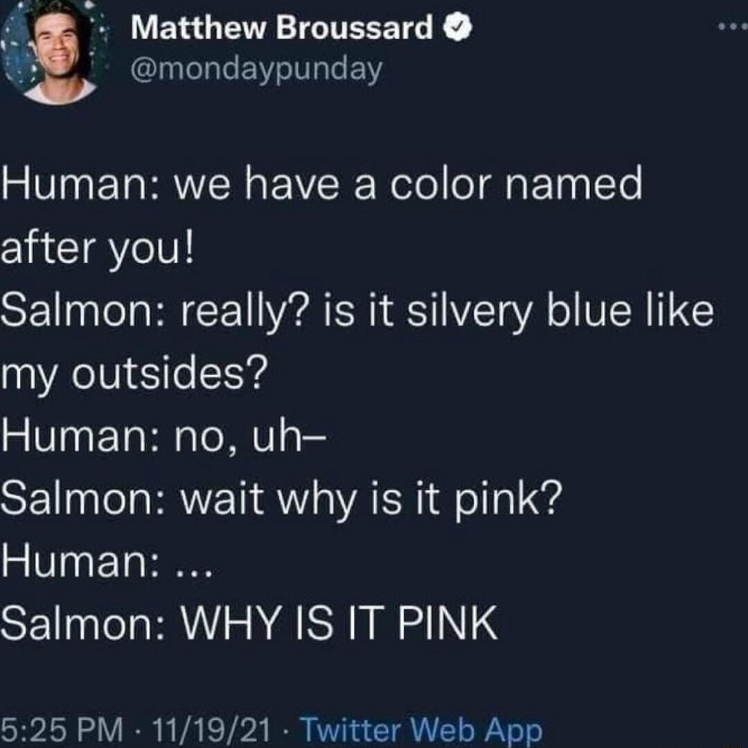 RRLENGENG TG LN E I EY 2 VTN ET RN VR Rele T ETos ITe after you Salmon really is it silvery blue like my outsides Human no uh Salmon wait why is it pink Human SENIC N NA NI NEINS 525 PM 111921 Twitter Web App