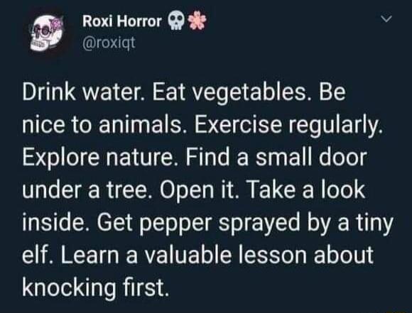 Roxi Horror 9 v roxiqt Drink water Eat vegetables Be R RN E Sl S CIO EEN T T Explore nature Find a small door under a tree Open it Take a look inside Get pepper sprayed by a tiny IR RCETG I REIVEL CR SO Il oV knocking first