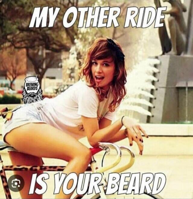 MY OTHER RIDE IS YOUR BEARD