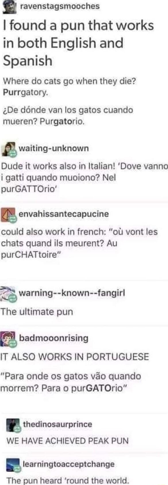 ravenstagsmooches found a pun that works in both English and Spanish Where do cats go when they die Purrgatory De dnde van los gatos cuando mueren Purgatorio waiing unknown Dude it works also in Italian Dove vanno i gatti quando muoiono Nel purGATTOrio envahissanlecapucine could also work in french oli vont les chats quand ils meurent Au purCHATtoire warning known fangirl The ultimate pun a badmoo