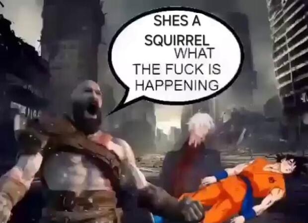 SHES A SQUIRREL WHAT THE FUCK IS