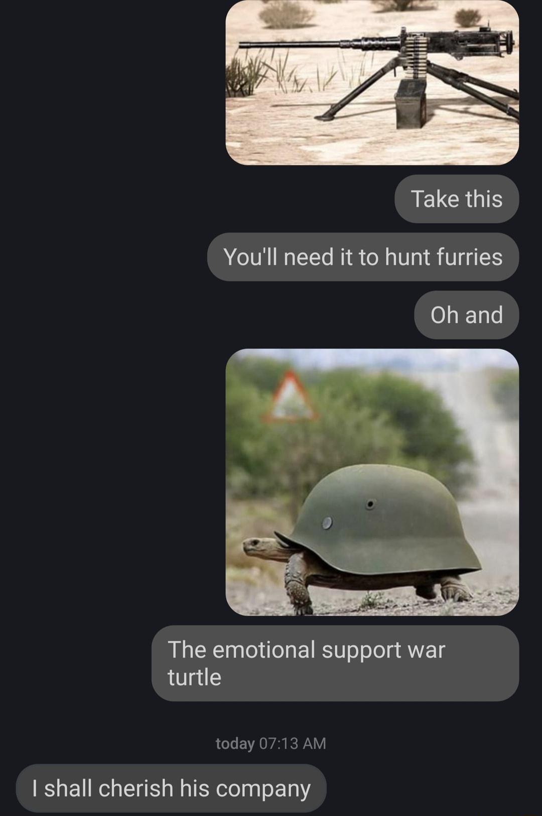 RELGRUTS Youll need it to hunt furries Oh and The emotional support war turtle shall cherish his company