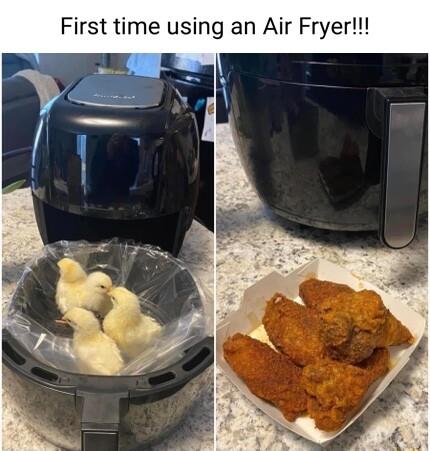 First time using an Air Fryer
