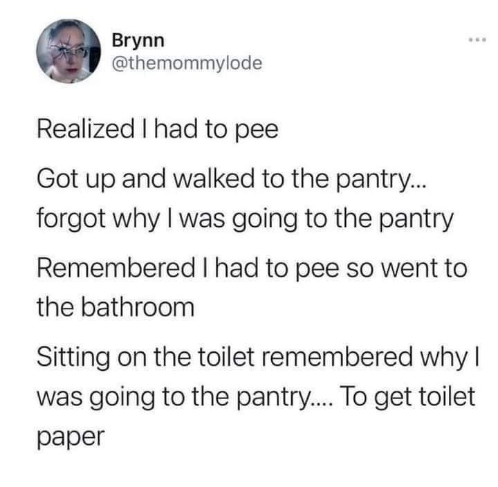 Brynn themommylode Realized had to pee Got up and walked to the pantry forgot why was going to the pantry Remembered had to pee so went to the bathroom Sitting on the toilet remembered why was going to the pantry To get toilet paper