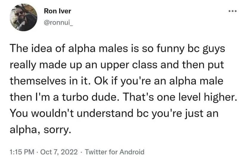Ron Iver The idea of alpha males is so funny bc guys really made up an upper class and then put themselves in it Ok if youre an alpha male then Im a turbo dude Thats one level higher You wouldnt understand bc youre just an alpha sorry 115 PM Oct 7 2022 Twitter for Android