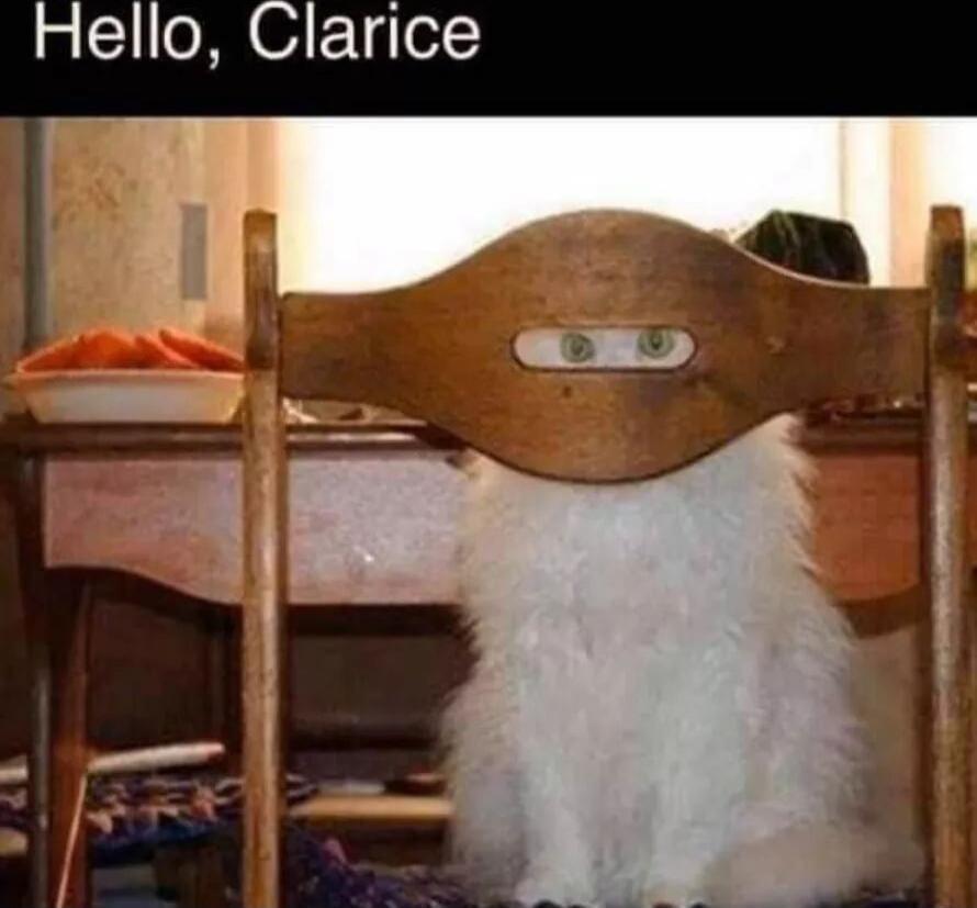 Hello, Clarice